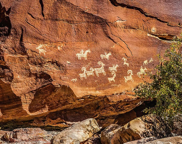 Ute Indian petroglyphs, Arches National Park, Moab, Utah, USA. Created 1650 to 1850 AD glyphs are of sheep, horses and dogs