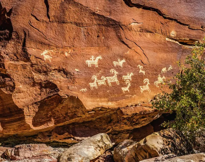Framed Print : Ute Indian petroglyphs, Arches National Park, Moab, Utah, USA. Created 1650 to 1850 AD glyphs are of sheep, horses and dogs Framed Print : Ute Indian petroglyphs, Arches National Park, Moab, Utah, USA. Created 1650 to 1850 AD glyphs are of sheep, horses and dogs