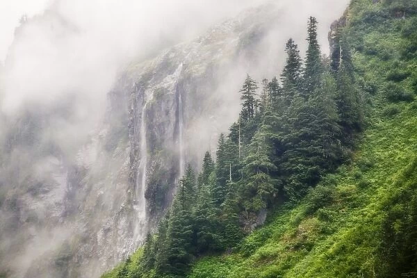 UUSA, Washington, North Cascades National Park, Cascade River. Waterfall and fog