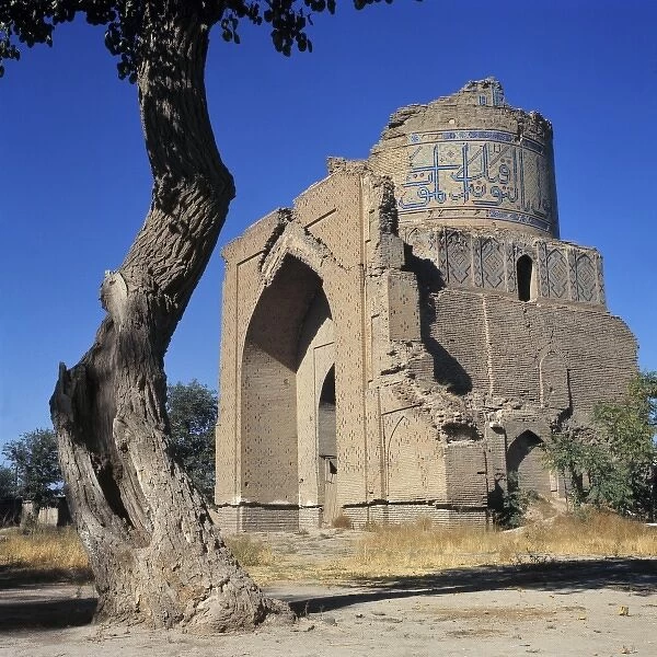 Uzbekistan, Bukhara. A bent, twisted tree mimics the lines of this ruined mosque in Bukhara