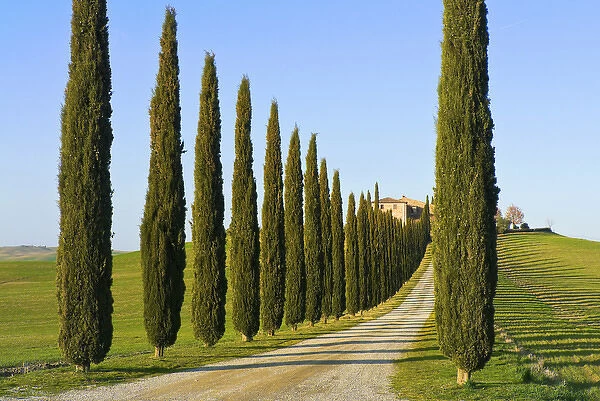 Val d Orcia, Siena Province, Siena, Tuscany, Italy