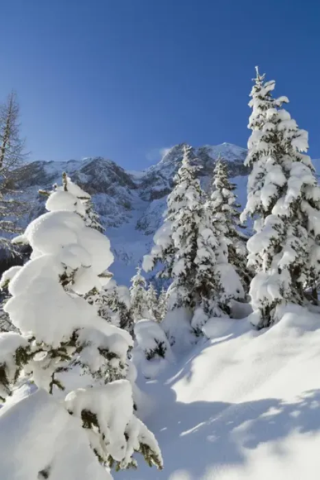 Framed Print : Valley Gaistal with snow during deep winter in Tyrol, Austria