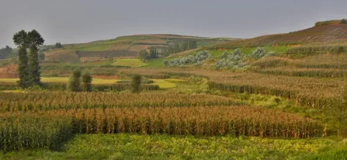 Framed Print : Valley just before going into the Dongchuan Red Lands, Kunming District, China. Growing rice Framed Print : Valley just before going into the Dongchuan Red Lands, Kunming District, China. Growing rice