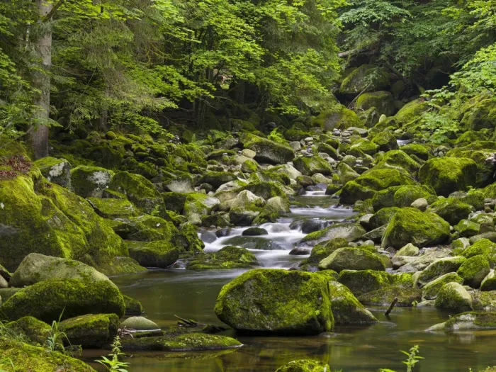 Framed Print : Valley of river Wolfsteiner Ohe (Buchberger Leite) in the Bavarian Forest