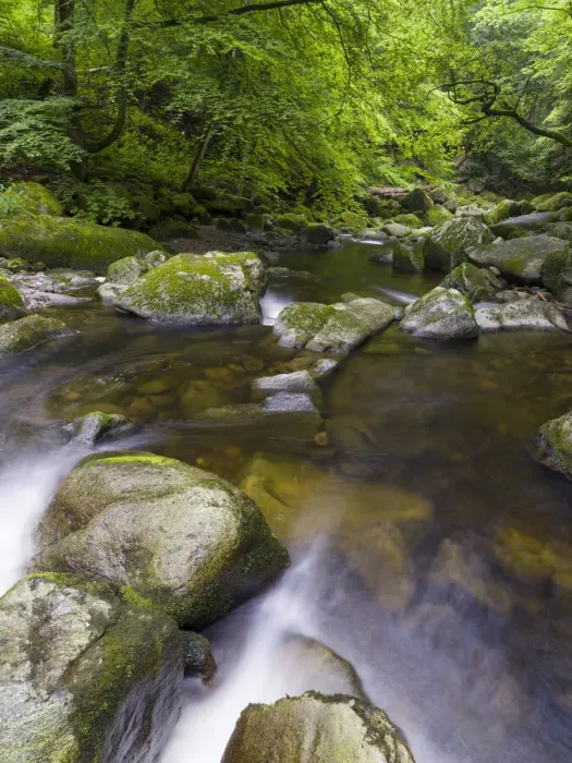 Framed Print : Valley of river Wolfsteiner Ohe (Buchberger Leite) in the Bavarian Forest