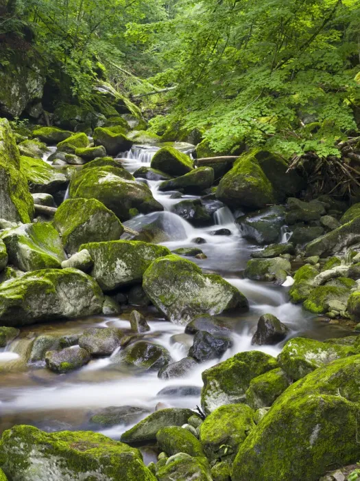 Framed Print : Valley of river Wolfsteiner Ohe (Buchberger Leite) in the Bavarian Forest