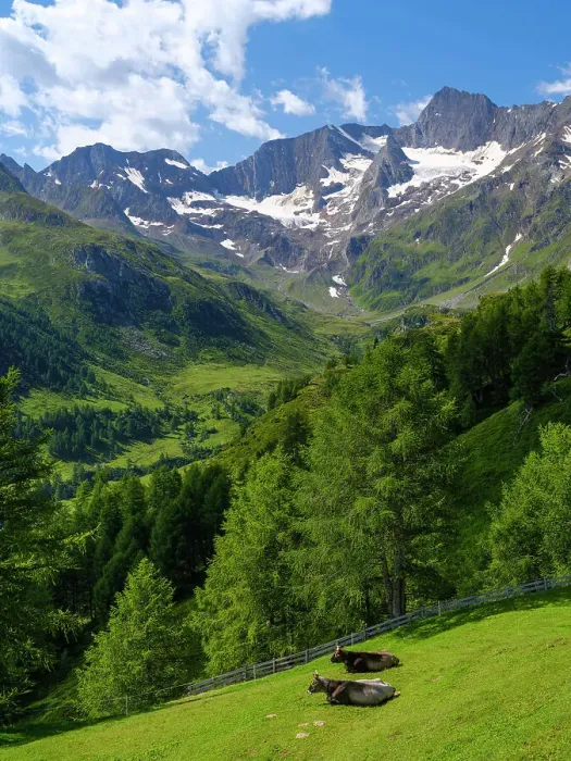 Framed Print : Valley Seeber Tal and Mt. Hochfirst in the Nature Park Texelgruppe in the Passeier Valley in the Otztal Alps. Italy, South Tyrol Framed Print : Valley Seeber Tal and Mt. Hochfirst in the Nature Park Texelgruppe in the Passeier Valley in the Otztal Alps. Italy, South Tyrol