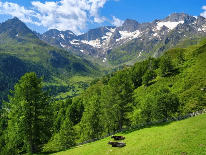 Framed Print : Valley Seeber Tal view towards Mt. Hochfirst and Mt. Granatenkogel in the Nature Park Texelgruppe in the Passeier Valley in the Otztal Alps. Italy, South Tyrol Framed Print : Valley Seeber Tal view towards Mt. Hochfirst and Mt. Granatenkogel in the Nature Park Texelgruppe in the Passeier Valley in the Otztal Alps. Italy, South Tyrol