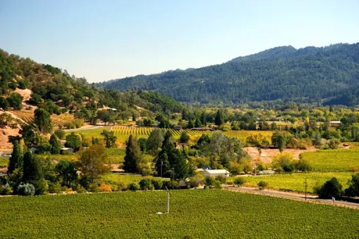 Framed Print : Valley with vineyards in Calistoga, California Framed Print : Valley with vineyards in Calistoga, California