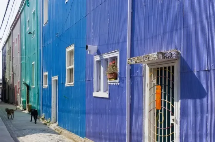 Framed Print : ValparaIso, Chile. South America. Feral dogs and colorful buildings on Cerro ConcepcIon