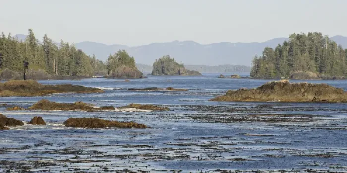 Framed Print : Vancouver Island. Ocean and island view from Ucluelet