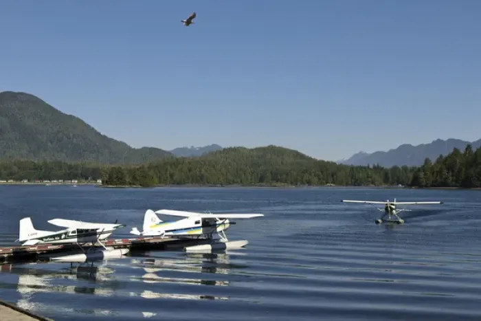 Framed Print : Vancouver Island, Tofino. Seaplanes with seagull flying overhead Framed Print : Vancouver Island, Tofino. Seaplanes with seagull flying overhead