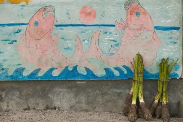 Framed Print : Vanuatu, Tanna Island, Lenakel. Waterfront wall mural and Taro roots Framed Print : Vanuatu, Tanna Island, Lenakel. Waterfront wall mural and Taro roots