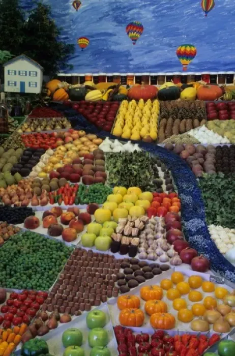 Framed Print : Vegetables on display at Puyallup Fair, Washington, United States Framed Print : Vegetables on display at Puyallup Fair, Washington, United States
