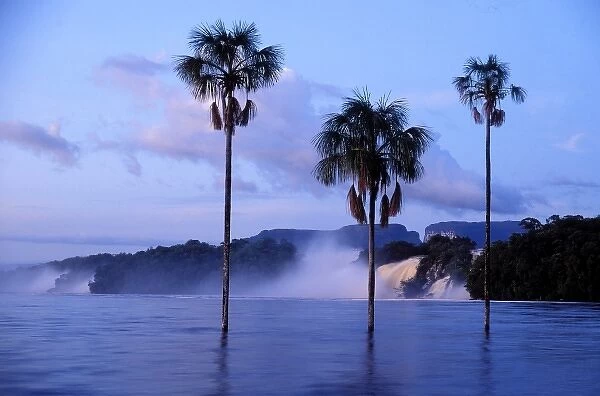 Venezuela, Canaima Lagoon, Canaima National Park, palm trees at dawn in the Carrao River