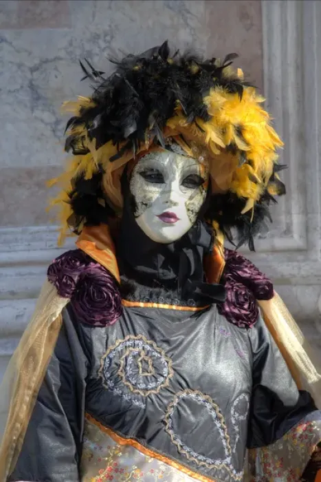 Framed Print : Venice at Carnival Time, Italy