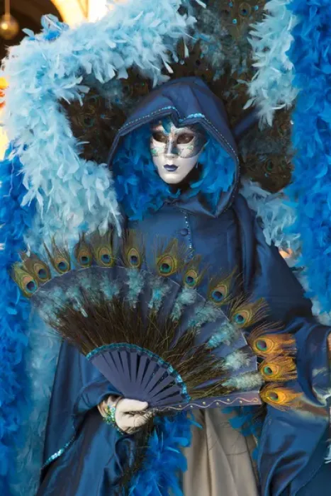 Framed Print : Venice at Carnival Time, Italy