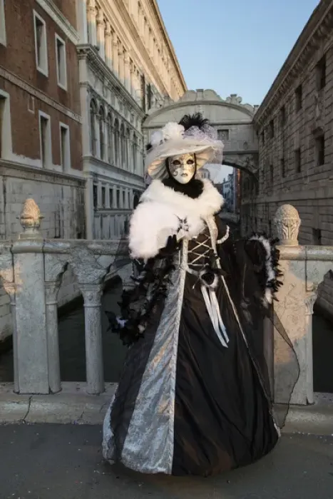 Framed Print : Venice at Carnival Time, Italy