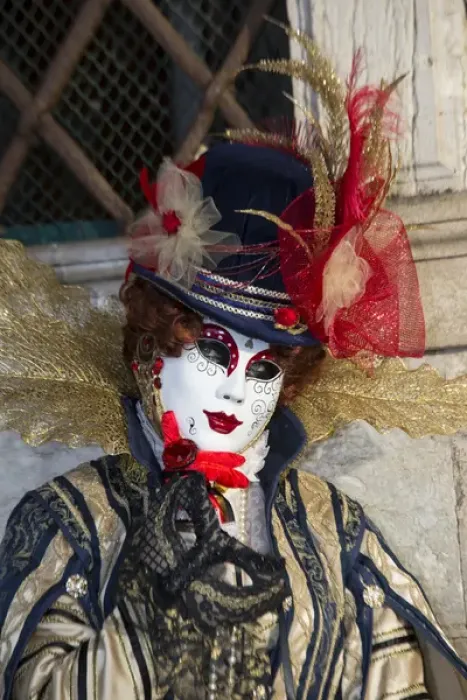 Framed Print : Venice at Carnival Time, Italy