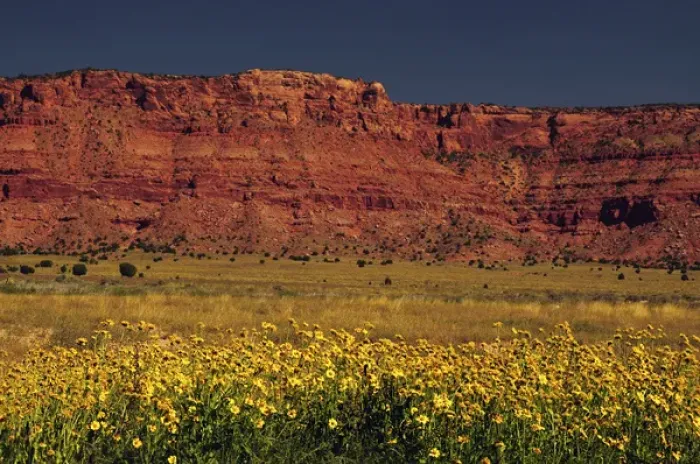 Framed Print : Vermillion Cliffs and Field of Yellow Flowers, Arizon; USA
