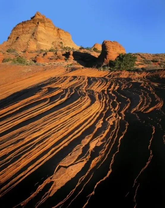 Framed Print : Vermillion Cliffs National Monument, Arizona. USA. Cross-bedded Navajo Sandstone Framed Print : Vermillion Cliffs National Monument, Arizona. USA. Cross-bedded Navajo Sandstone