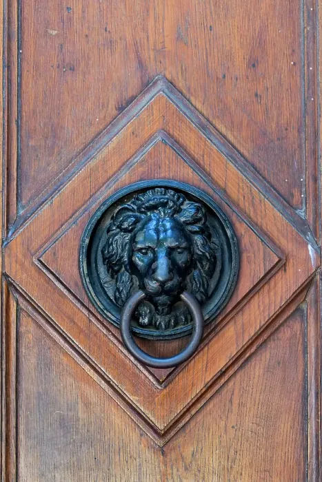Framed Print : Vienna, Austria. Old wooden door with lion door knocker Framed Print : Vienna, Austria. Old wooden door with lion door knocker