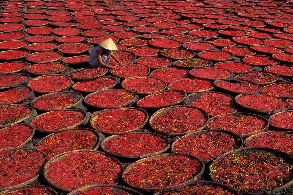 Vietnam. Candy drying in baskets under the sun