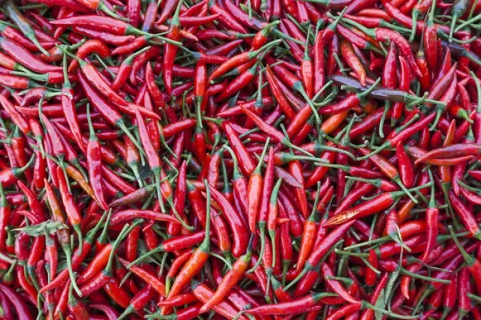 Framed Print : Vietnam, Dien Bien Phu, city market, chillies Framed Print : Vietnam, Dien Bien Phu, city market, chillies