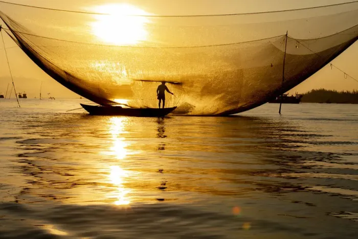 Framed Print : Vietnam. Fisherman emptying the nights catch in the Lagoon
