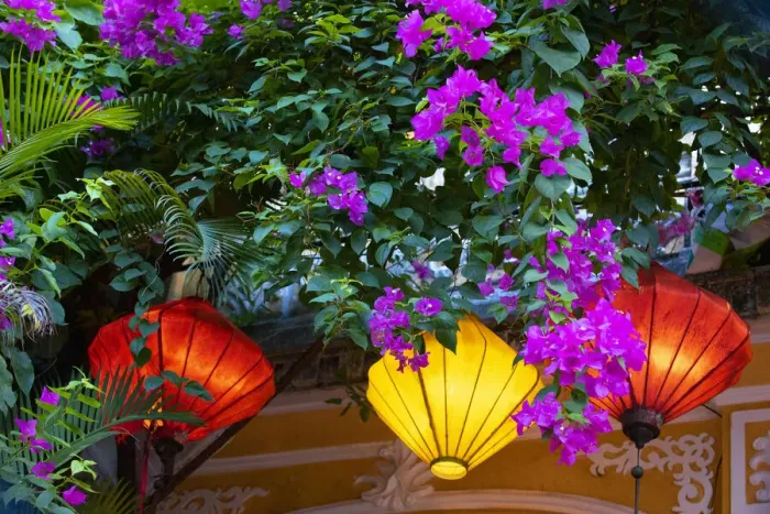 Framed Print : Vietnam. Hoi An silk lamps decorating throughout the city Framed Print : Vietnam. Hoi An silk lamps decorating throughout the city