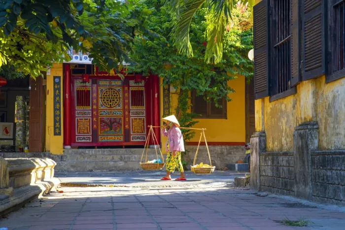 Framed Print : Vietnam. Woman with vegetable basket for sale Framed Print : Vietnam. Woman with vegetable basket for sale