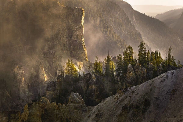 View from Artist Point at sunrise, Grand Canyon of Yellowstone, Yellowstone National Park, Wyoming