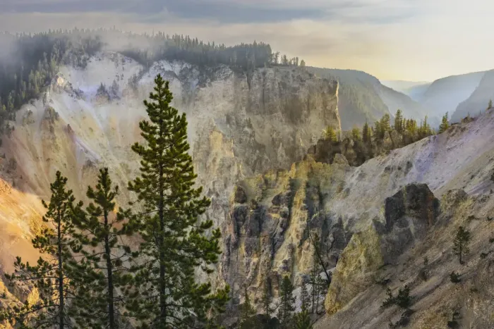 Framed Print : View from Artist Point at sunrise, Grand Canyon of Yellowstone, Yellowstone National Park, Wyoming Framed Print : View from Artist Point at sunrise, Grand Canyon of Yellowstone, Yellowstone National Park, Wyoming