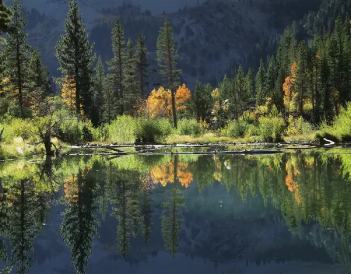 Framed Print : View of autumn trees reflection in lake Framed Print : View of autumn trees reflection in lake