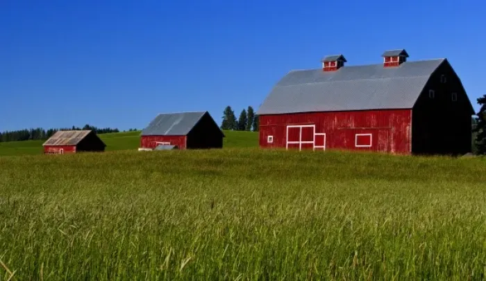 Framed Print : A view of three barns in Idaho Framed Print : A view of three barns in Idaho