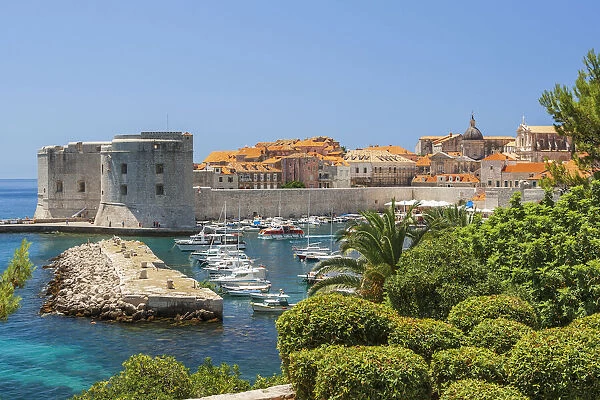 View of boats in Old Port, Dubrovnik, Dalmatian Coast, Adriatic Sea, Croatia