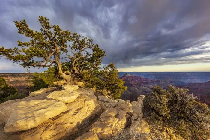 Framed Print : View from Bright Angel Point on the North Rim of Grand Canyon National Park, Arizona, USA
