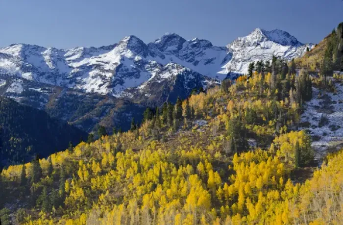 Framed Print : View across Butler Fork of Mount Olympus, Twin Peaks, Wilderness areas, Wasatch Cache Framed Print : View across Butler Fork of Mount Olympus, Twin Peaks, Wilderness areas, Wasatch Cache