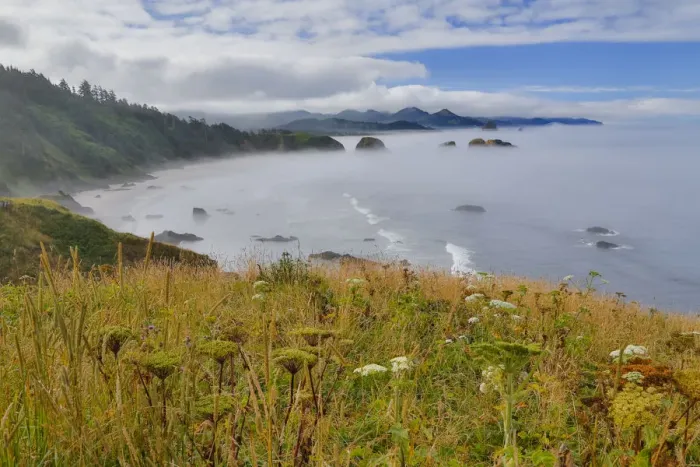 Framed Print : View of Cannon Beach with seastack with rising fog from Ecola State Park Framed Print : View of Cannon Beach with seastack with rising fog from Ecola State Park