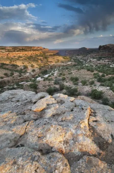 Framed Print : View from the canyon rim, Island in the sky district, Canyonlands National Park, Utah