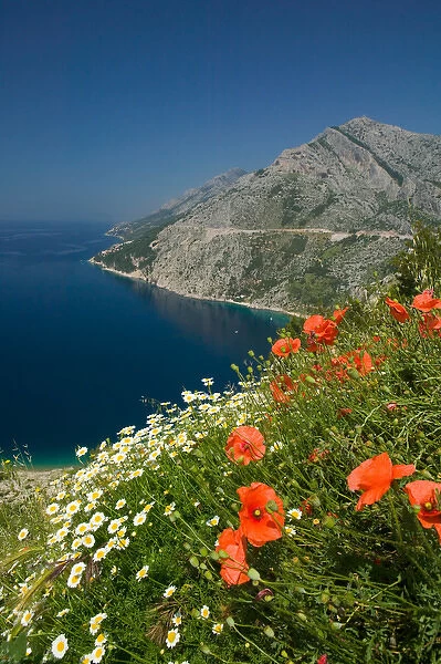view of coastline, dalmatia, croatia, eastern europe. balkan, europe