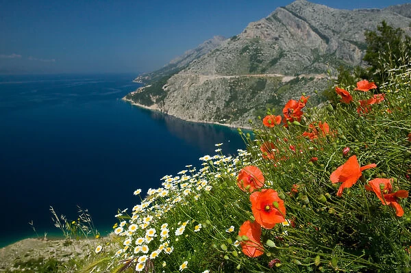 view of coastline, dalmatia, croatia, eastern europe. balkan, europe