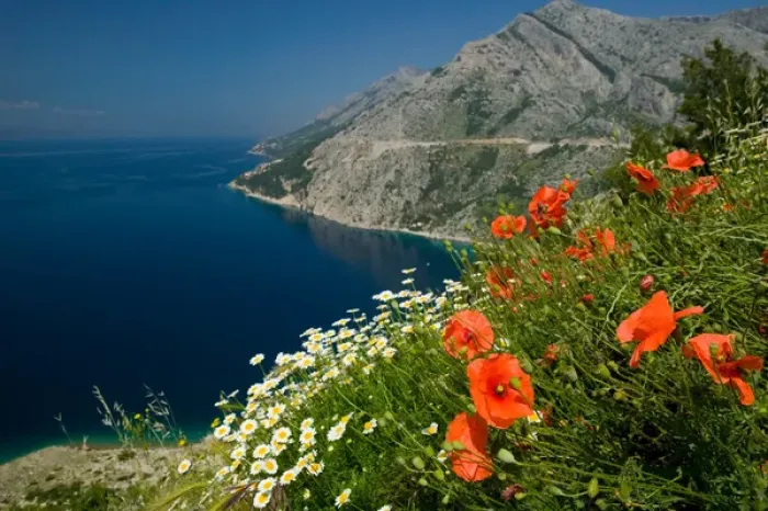 Framed Print : view of coastline, dalmatia, croatia, eastern europe. balkan, europe