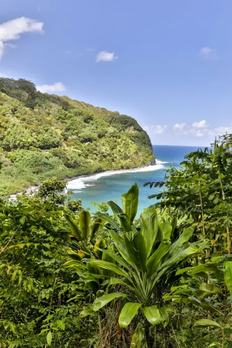 Framed Print : View of the coastline along the road to Hana, Maui, Hawaii