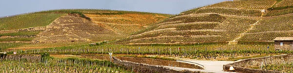 A view over the Crozes-Hermitage vineyards in the part of the appellation closes to Hermitage