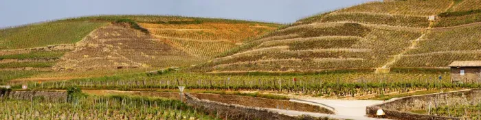 Framed Print : A view over the Crozes-Hermitage vineyards in the part of the appellation closes to Hermitage