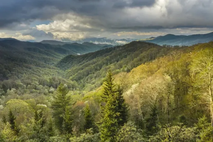 Framed Print : View of Deep Creek in early spring, Great Smoky Mountains National Park, North Carolina Framed Print : View of Deep Creek in early spring, Great Smoky Mountains National Park, North Carolina