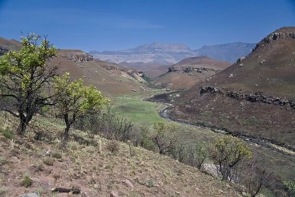 View of Drakensberg Mountains inDrakensberg Royal Natal NP, South Africa