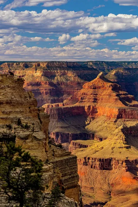 Framed Print : View of the Grand Canyon from the South Rim