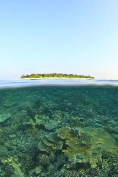 Framed Print : Above & Below View, Havodigalaa Island, South Huvadhoo Atoll, Southern Maldives